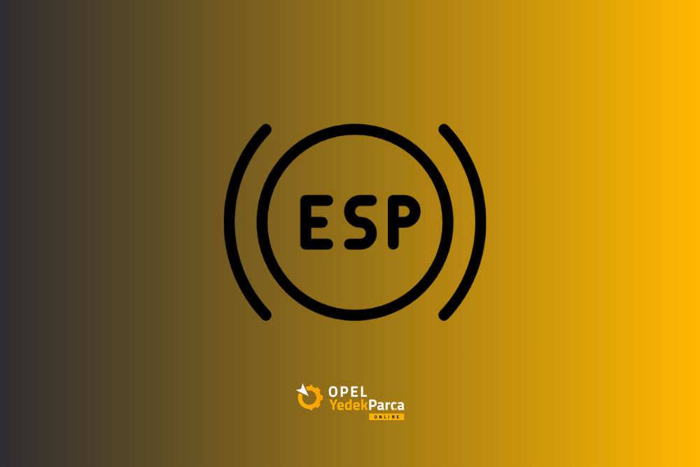 Esp Nedir?