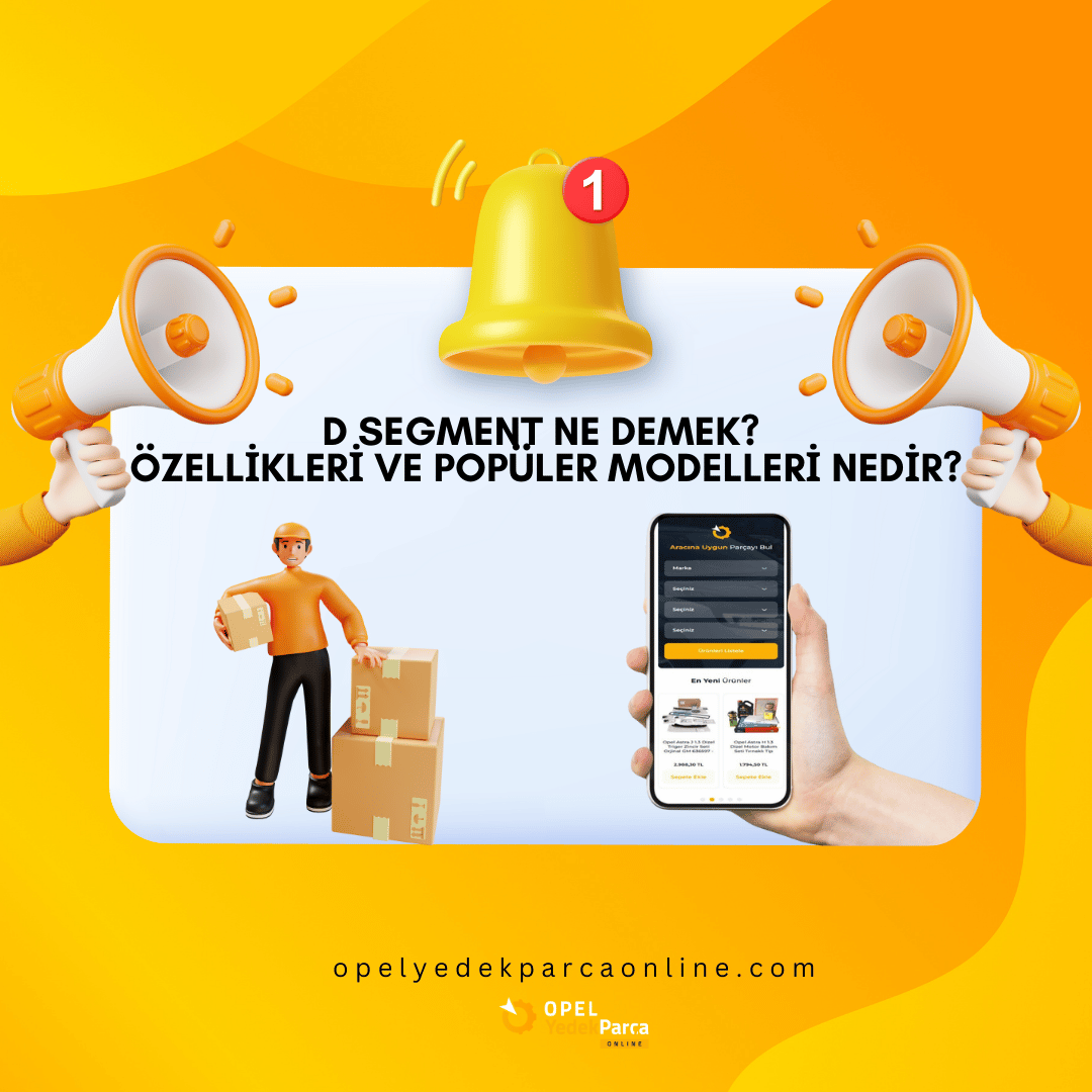 D Segment Ne Demek? Özellikleri ve Popüler Modelleri Nedir?